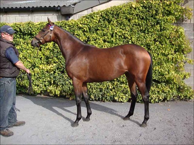 Sister of Mercy second at Del Mar