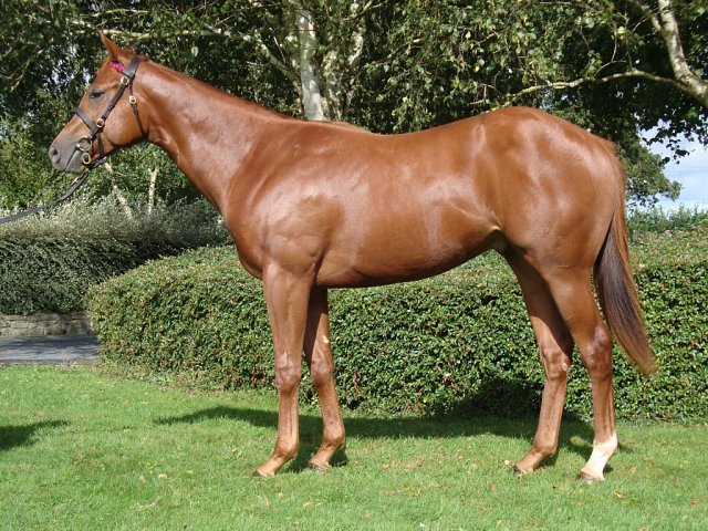 Sixtygeesbaby wins at Doncaster on 25th April 2025