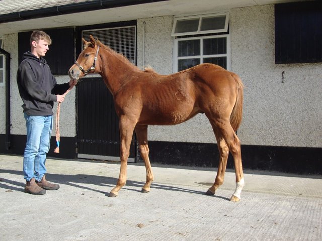 Sixtygeesbaby wins at Doncaster on 25th April 2025