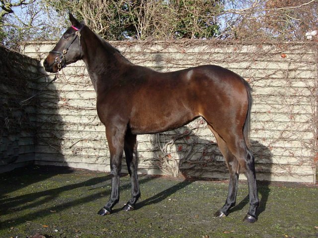 Skellet wins at Salisbury on 7th September 2023