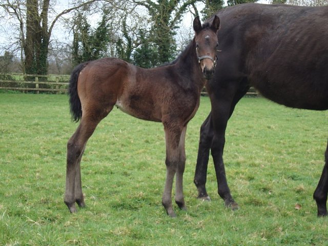 Skellet third in Group 3 at Sandown on 30th August 2025