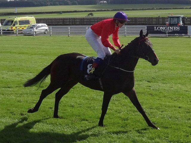 Skitter Scatter second in Group 3 on 29th August 2019