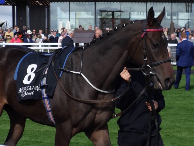 Skitter Scatter second in Group 3 on 29th August 2019
