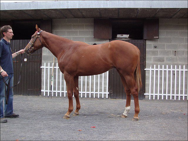 Smartcity third at Sha Tin