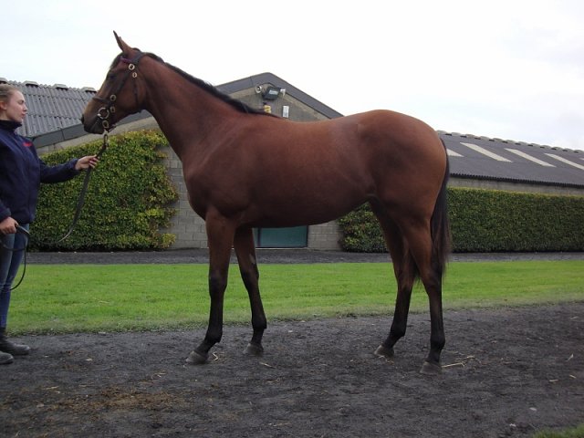 Soaring Sky third at Leopardstown on 8th July 2021