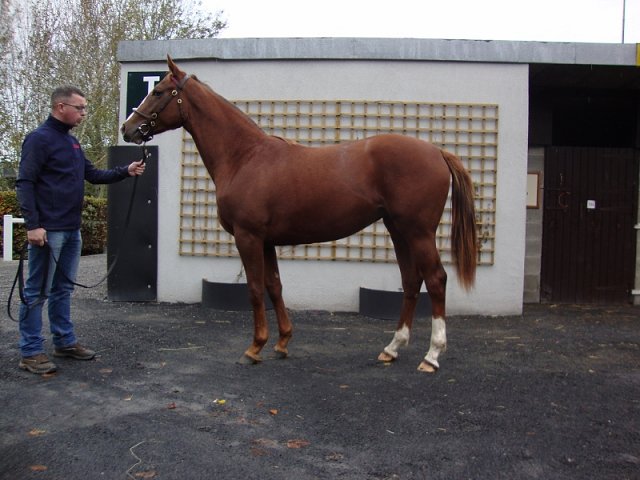 Sophistication wins at Naples on 5th June 2020