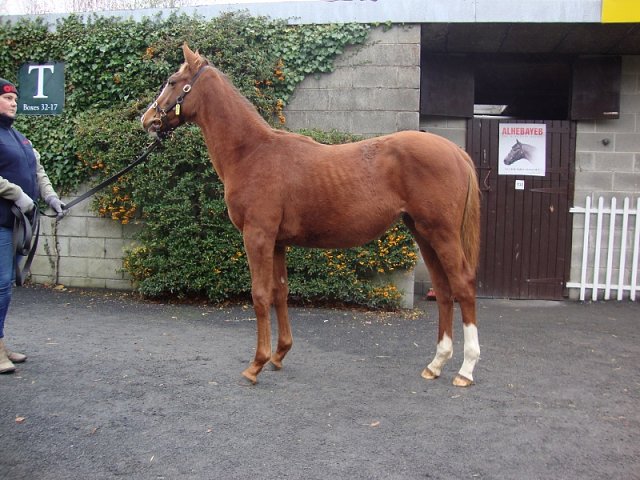 Sophistication wins at Chilivani, Italy on 8th September 2022