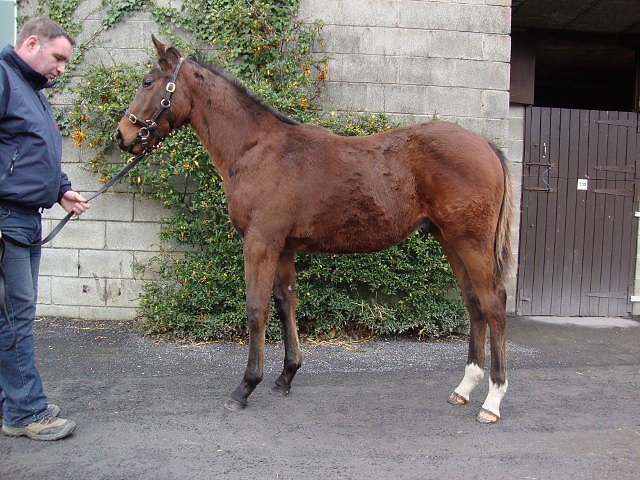Spark Plug second in Listed Race