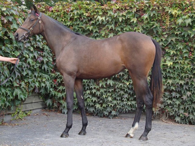 St Clerans second at Ballinrobe on 20th July 2020