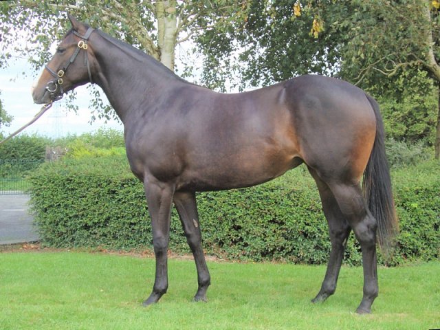 Suffrajet third at Ascot on 30th September 2022