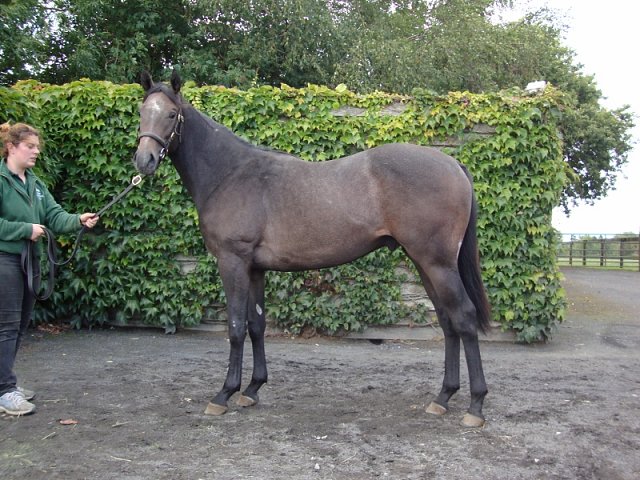 Track Master wins in Italy