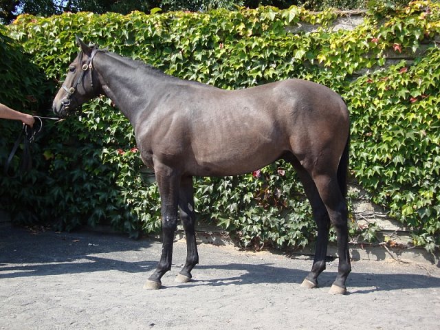 Track Master wins in Italy