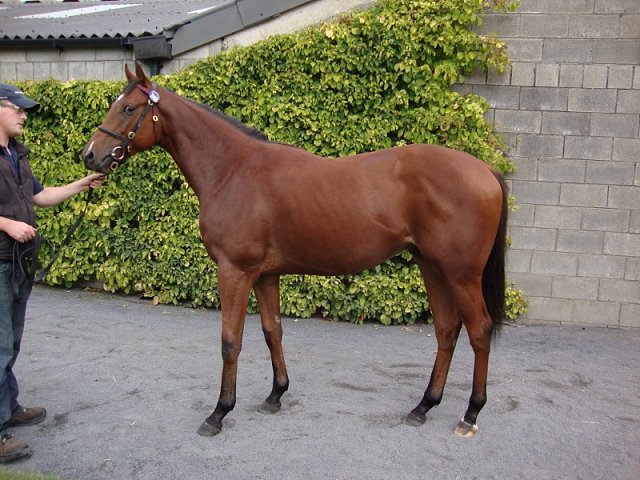 Va Bank wins Group 3 at Baden-Baden