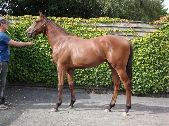 Va Bank second in Group 2 at Baden-Baden on 31st May 2018