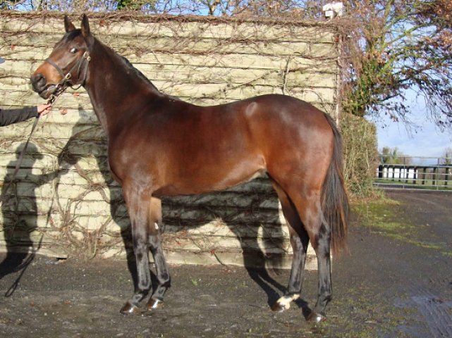 Valeria Messalina second in Group 3 on 11th October 2019