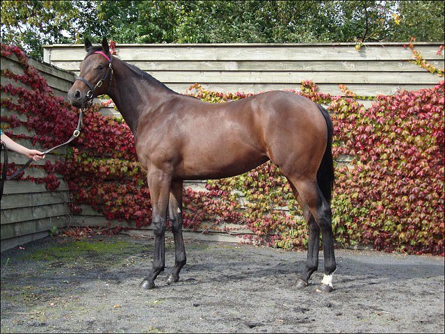 Vassaria third at Haydock