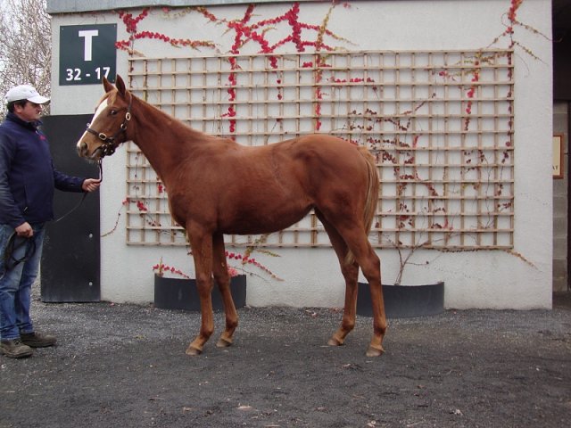 Veria finished third in Le Croise-Laroche on 2nd December 2021