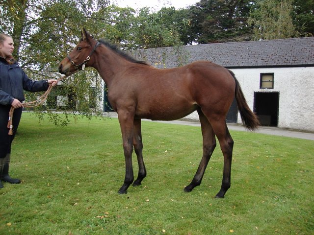 Versatile wins at Bath on 14th May 2025