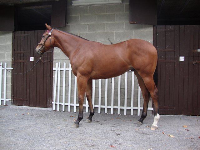 Viz Success wins at Fukushima, Japan on 9th April 2023