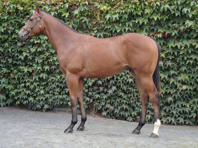 Viz Success wins at Fukushima, Japan on 9th April 2023
