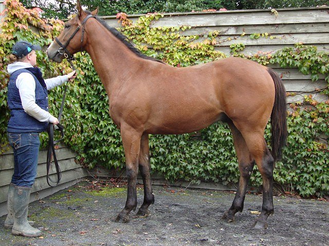 Windfast third in Group 3