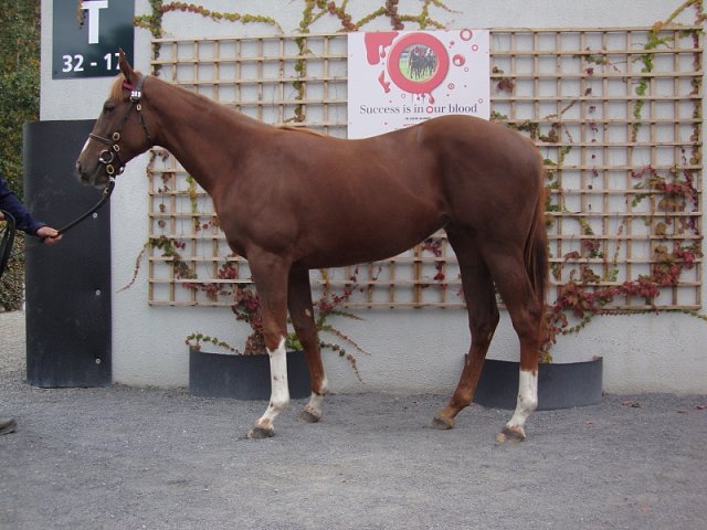 Windracer wins at Arlington International on 8th August 2020
