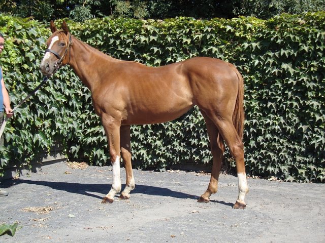 Windracer wins at Arlington International on 8th August 2020