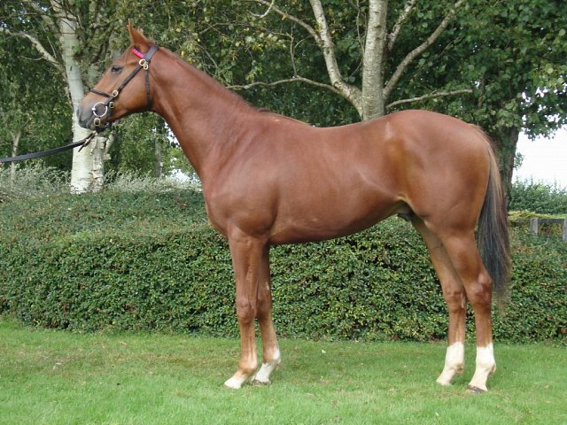 Winnebago wins at Lingfield on 16th February 2025