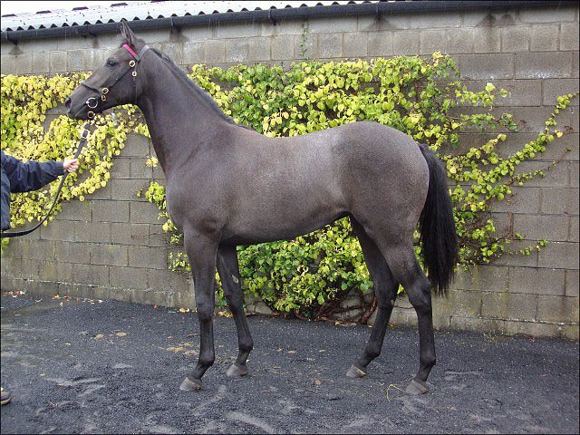 Wire second at Milan
