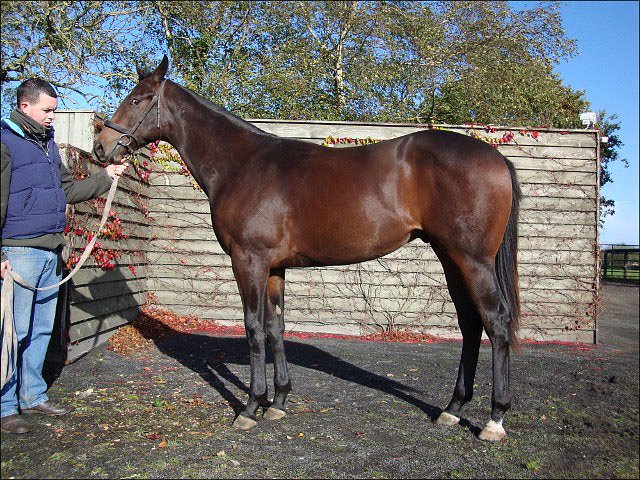 Yava third at Lyon La Soie