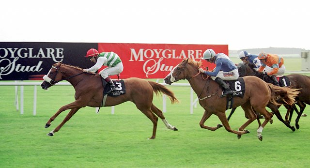 Chelsea Rose Moyglare Stud Stakes