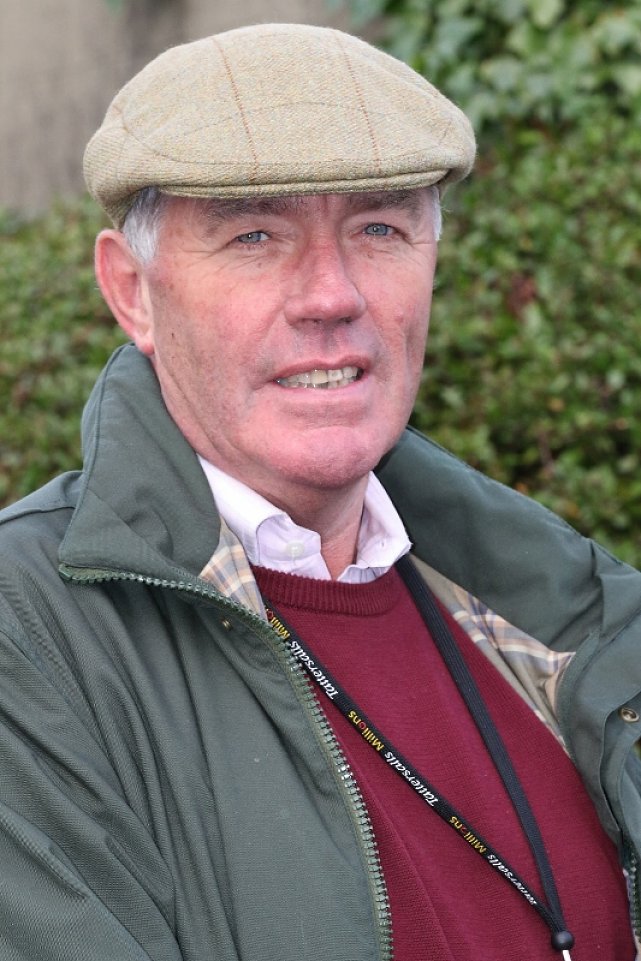 david533x800_1449744311.jpg